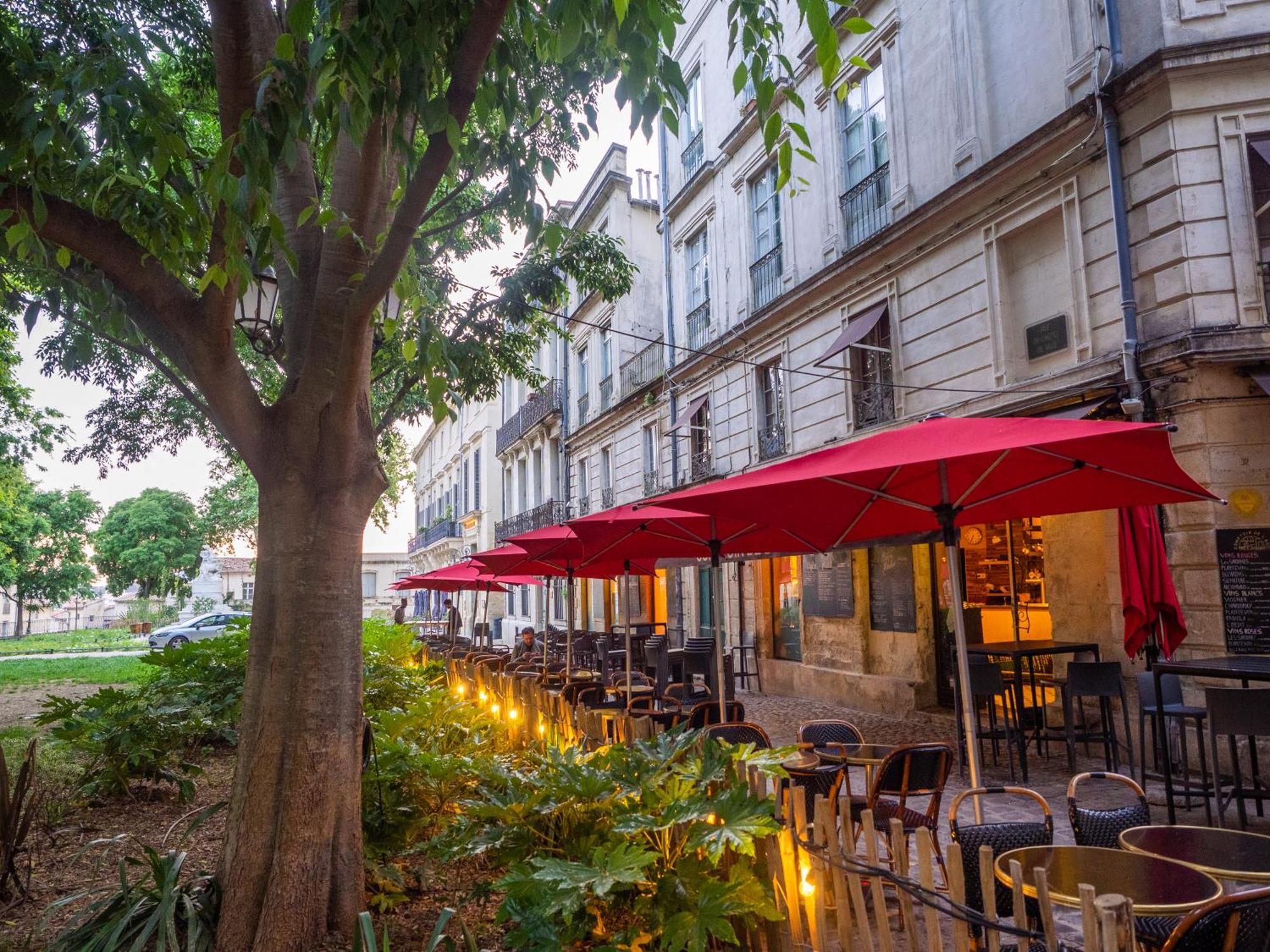 Le Platane De La Canourgue 몽펠리에 외부 사진
